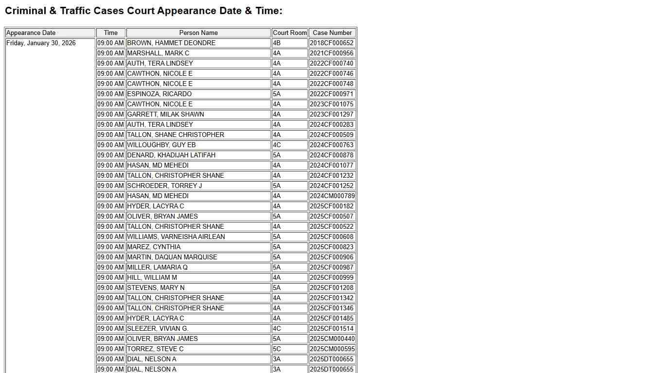 Dockets Criminal & Traffic Cases